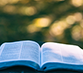 Bible